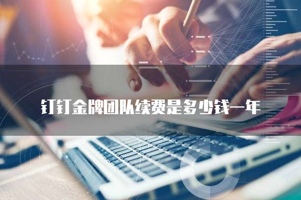 钉钉金牌团队续费是多少钱一年