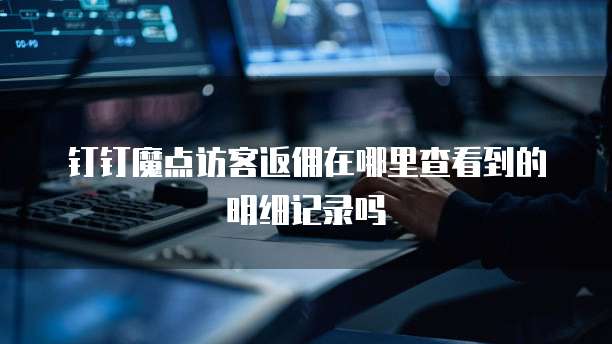 钉钉魔点访客返佣在哪里查看到的明细记录吗