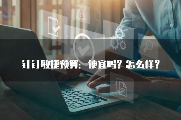 钉钉敏捷预算:便宜吗?怎么样?