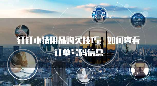 钉钉小猪用品购买技巧:如何查看订单号码信息