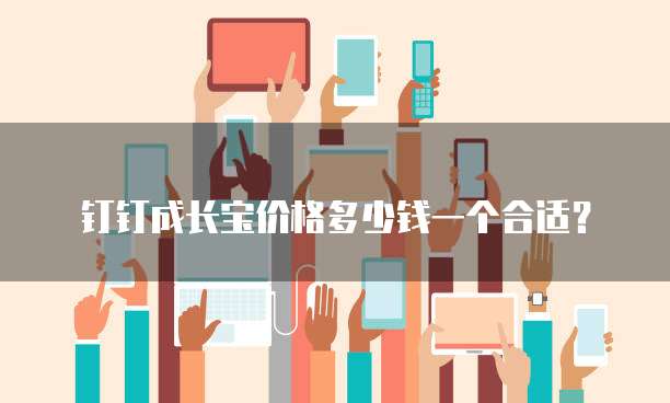 钉钉成长宝价格多少钱一个合适?