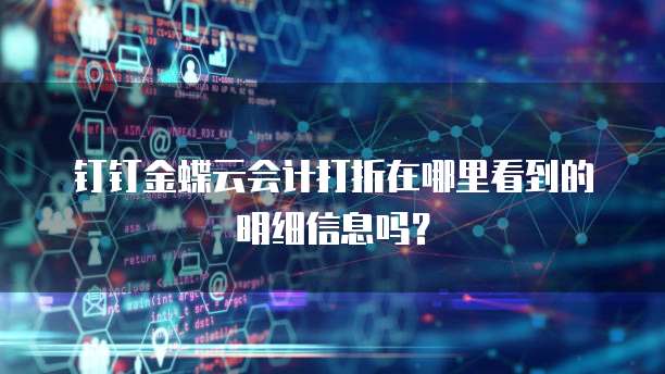 钉钉金蝶云会计打折在哪里看到的明细信息吗?