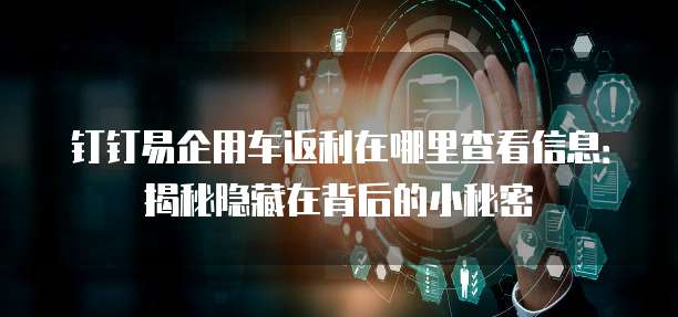 钉钉易企用车返利在哪里查看信息:揭秘隐藏在背后的小秘密