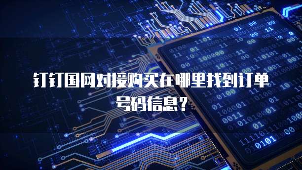钉钉国网对接购买在哪里找到订单号码信息?