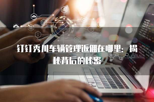 钉钉秀川车辆管理返佣在哪里：揭秘背后的秘密