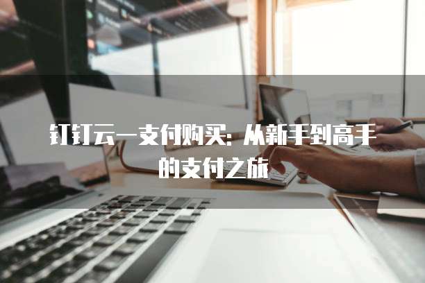 钉钉云一支付购买: 从新手到高手的支付之旅