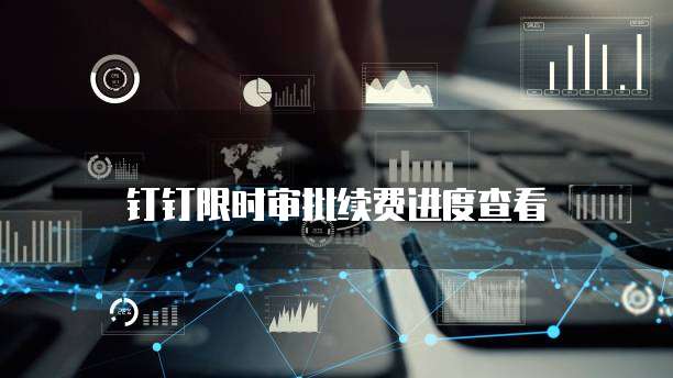钉钉限时审批续费进度查看