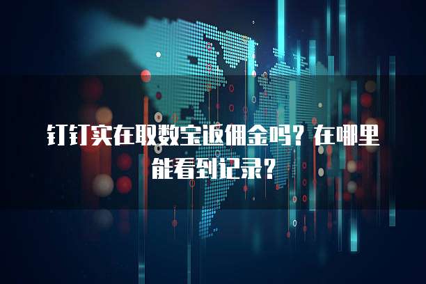 钉钉实在取数宝返佣金吗?在哪里能看到记录?