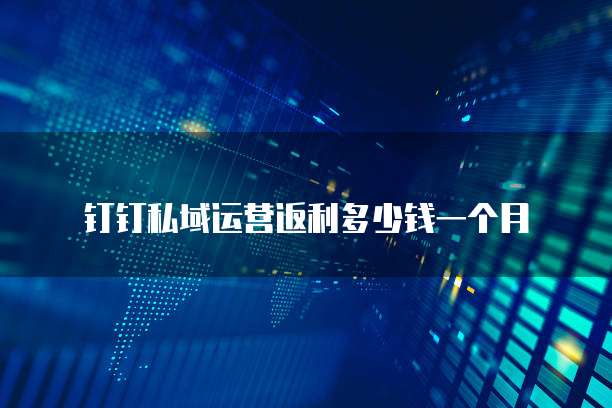 钉钉私域运营返利多少钱一个月