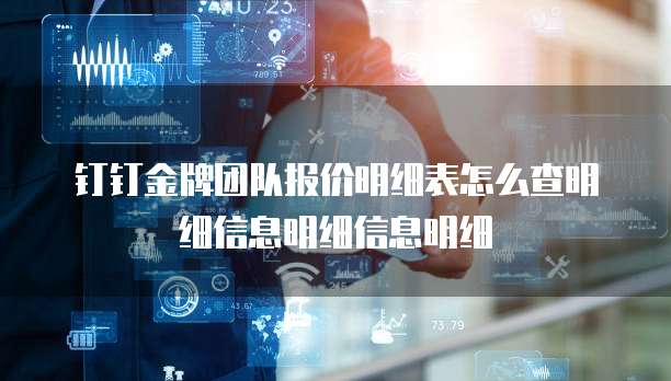 钉钉金牌团队报价明细表怎么查明细信息明细信息明细