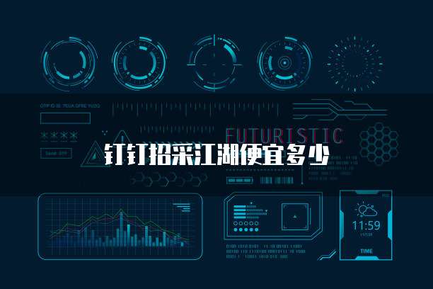 钉钉招采江湖便宜多少