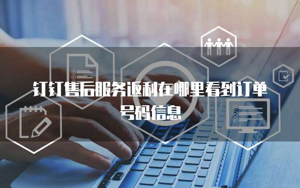 钉钉售后服务返利在哪里看到订单号码信息