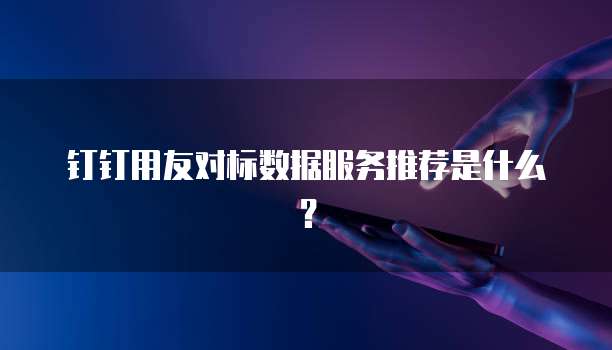 钉钉用友对标数据服务推荐是什么?