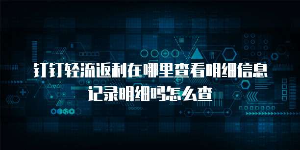 钉钉轻流返利在哪里查看明细信息记录明细吗怎么查