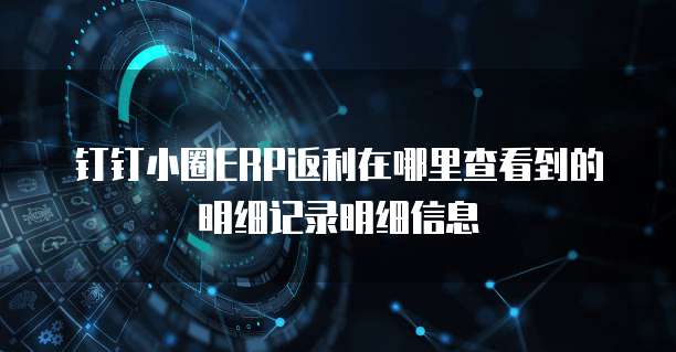 钉钉小圈ERP返利在哪里查看到的明细记录明细信息