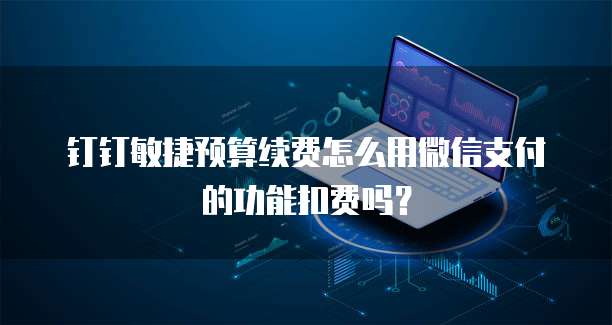 钉钉敏捷预算续费怎么用微信支付的功能扣费吗?