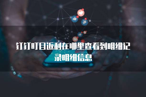 钉钉盯目返利在哪里查看到明细记录明细信息