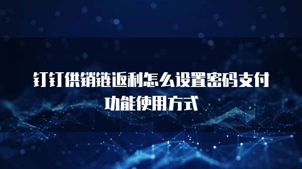 钉钉供销链返利怎么设置密码支付功能使用方式