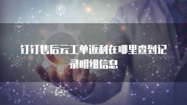钉钉售后云工单返利在哪里查到记录明细信息