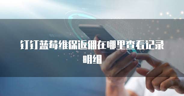 钉钉蓝莓维保返佣在哪里查看记录明细
