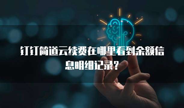 钉钉简道云续费在哪里看到余额信息明细记录?