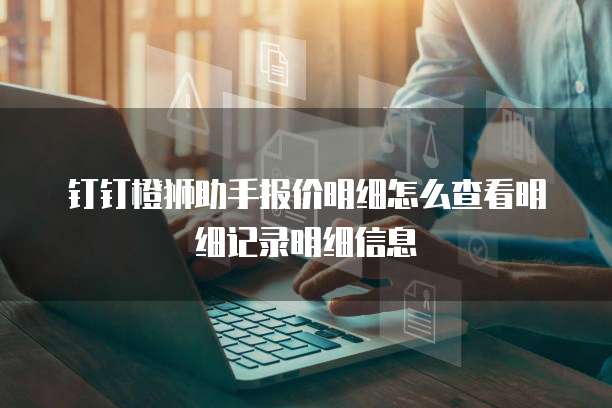 钉钉橙狮助手报价明细怎么查看明细记录明细信息