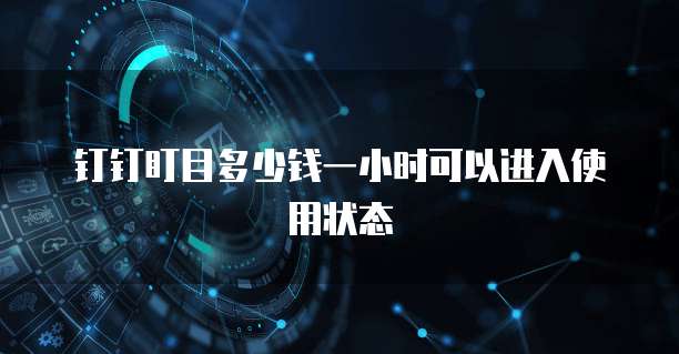 钉钉盯目多少钱一小时可以进入使用状态