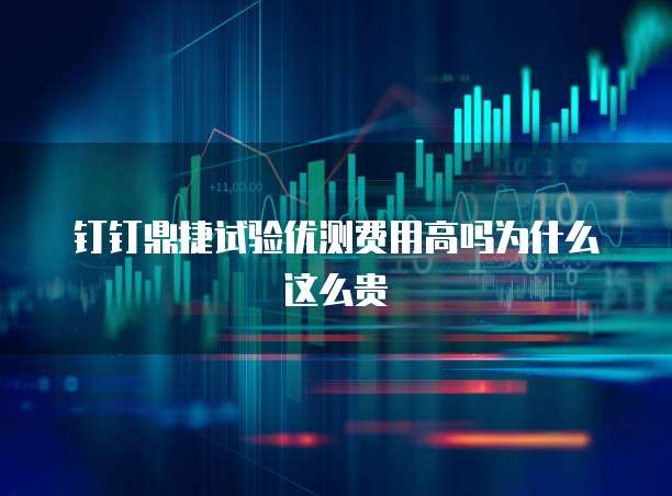 钉钉鼎捷试验优测费用高吗为什么这么贵