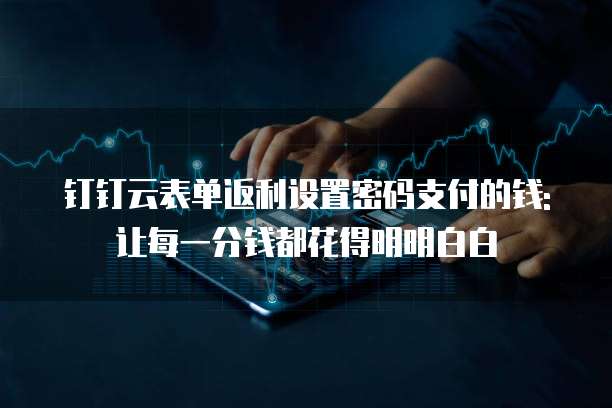 钉钉云表单返利设置密码支付的钱: 让每一分钱都花得明明白白