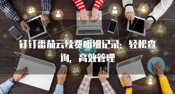 钉钉番茄云续费明细记录:轻松查询,高效管理