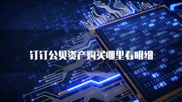 钉钉公贝资产购买哪里看明细