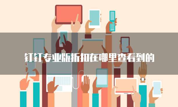 钉钉专业版折扣在哪里查看到的