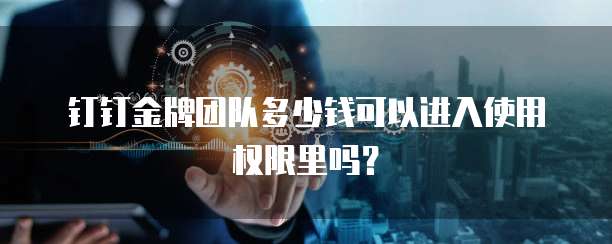 钉钉金牌团队多少钱可以进入使用权限里吗?