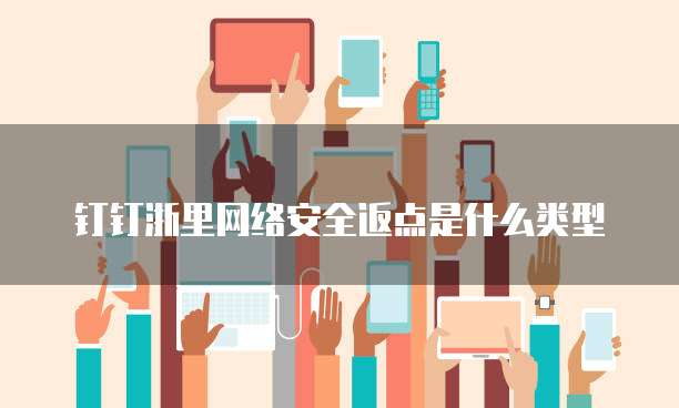 钉钉浙里网络安全返点是什么类型