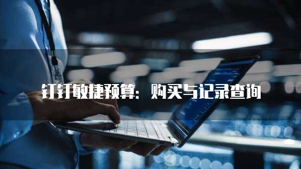 钉钉敏捷预算：购买与记录查询