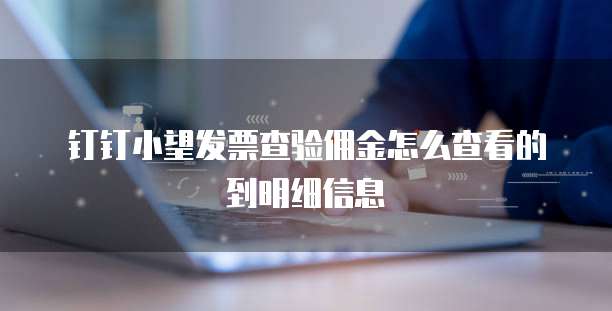 钉钉小望发票查验佣金怎么查看的到明细信息