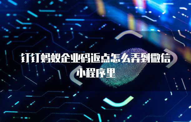 钉钉蚂蚁企业码返点怎么弄到微信小程序里