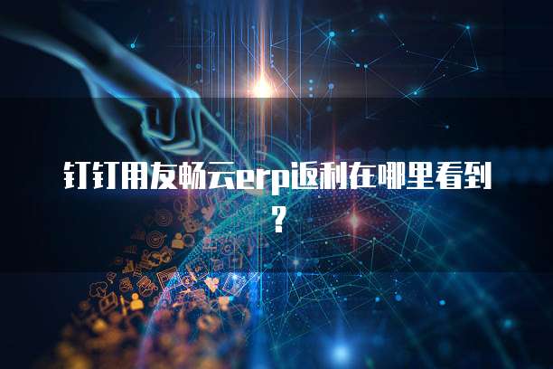 钉钉用友畅云erp返利在哪里看到?