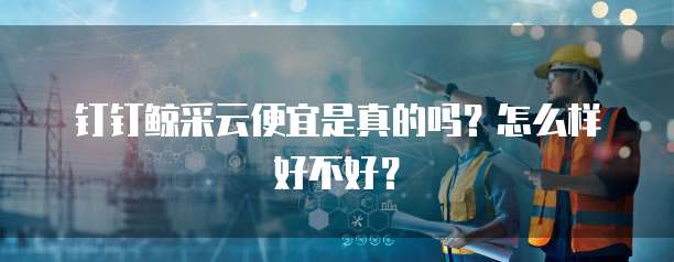 钉钉鲸采云便宜是真的吗?怎么样好不好?