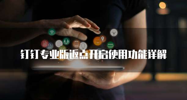 钉钉专业版返点开启使用功能详解