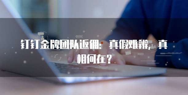 钉钉金牌团队返佣:真假难辨,真相何在?