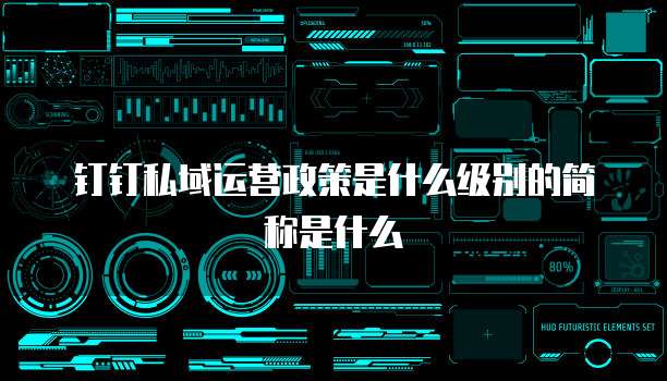 钉钉私域运营政策是什么级别的简称是什么