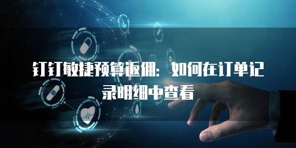 钉钉敏捷预算返佣:如何在订单记录明细中查看