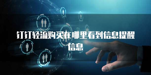 钉钉轻流购买在哪里看到信息提醒信息
