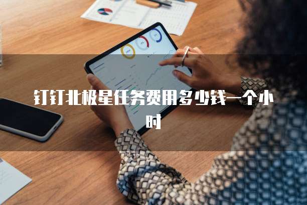 钉钉北极星任务费用多少钱一个小时