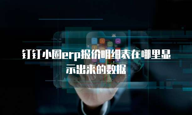 钉钉小圈erp报价明细表在哪里显示出来的数据