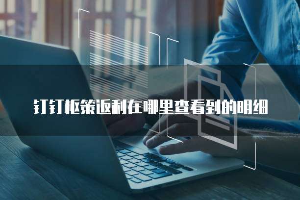钉钉枢策返利在哪里查看到的明细