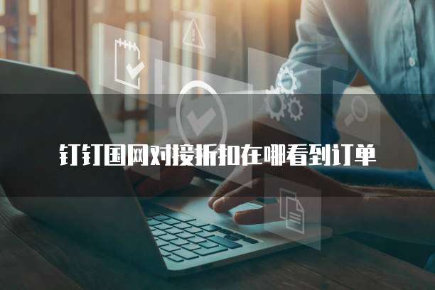 钉钉国网对接折扣在哪看到订单