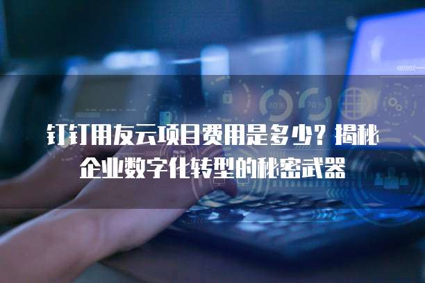 钉钉用友云项目费用是多少?揭秘企业数字化转型的秘密武器