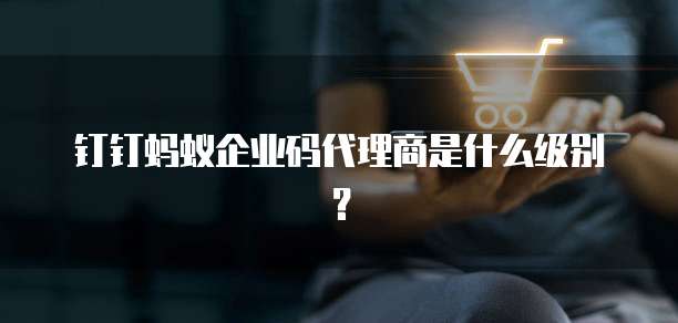 钉钉蚂蚁企业码代理商是什么级别?